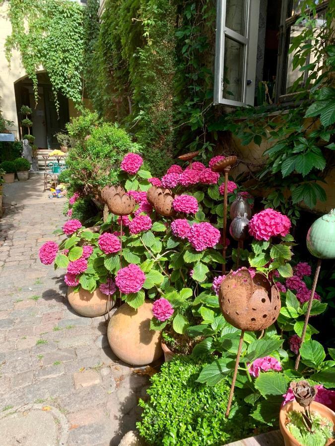Apothekergaarden Stege B&B Εξωτερικό φωτογραφία